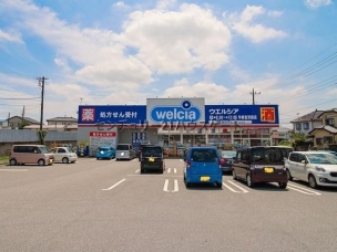 【ドラッグストア】ウエルシア宇都宮双葉店 1095m 周辺環境