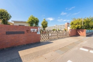 【小学校】宇都宮市立新田小学校 639m 周辺環境