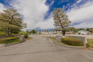【小学校】さくら市立南小学校 727m 周辺環境